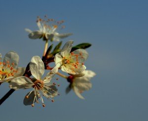 ¿Se puede vivir solo con esperanza?