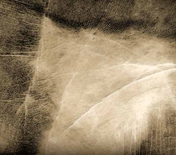 Confrontando el temor